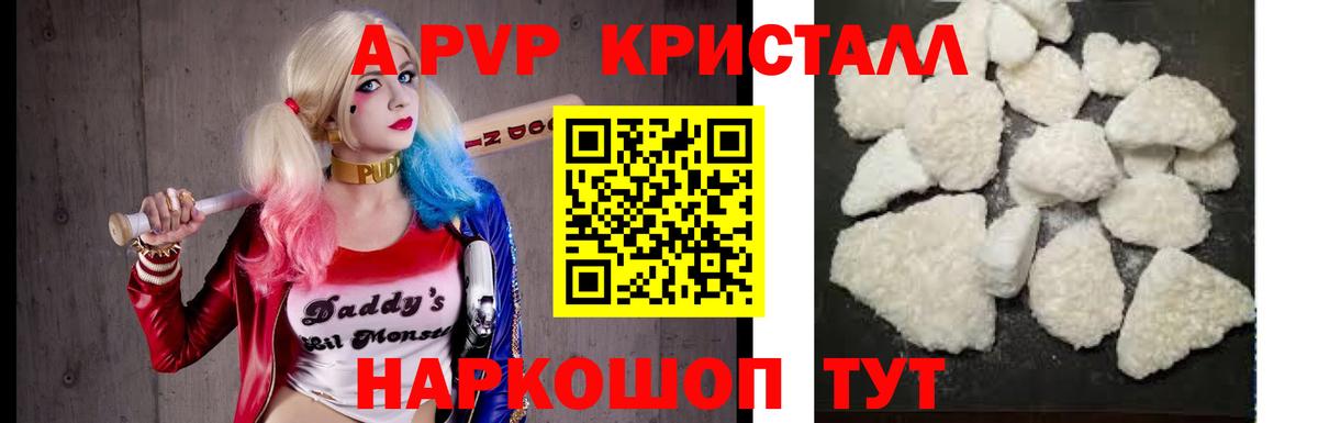 Элиста  Alfa_PVP  А ПВП СК КРИС  Вход с VPN  Альфа ПВП крисы CK 