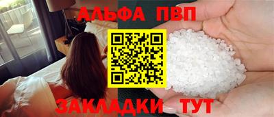 крисы Кингисепп