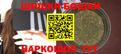 крисы Кингисепп