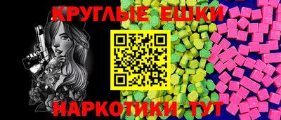 крисы Кингисепп