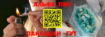 крисы Кингисепп