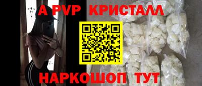 крисы Кингисепп